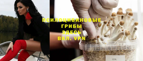 кокс Алзамай