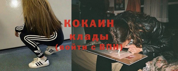 прущие грибы Осинники