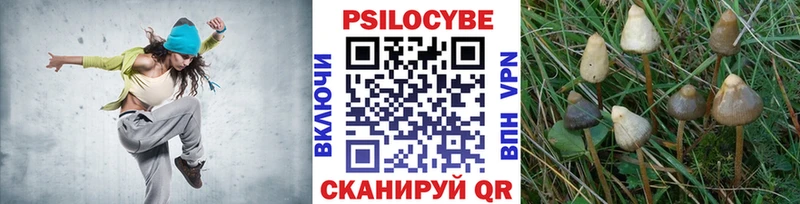KRAKEN   Артёмовский  Галлюциногенные грибы мицелий 